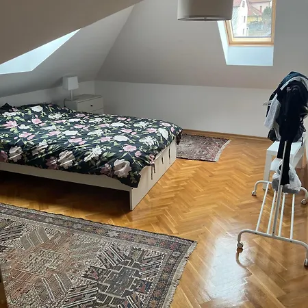 Apartment Vrnjacka Hill Vrnjacka Banja