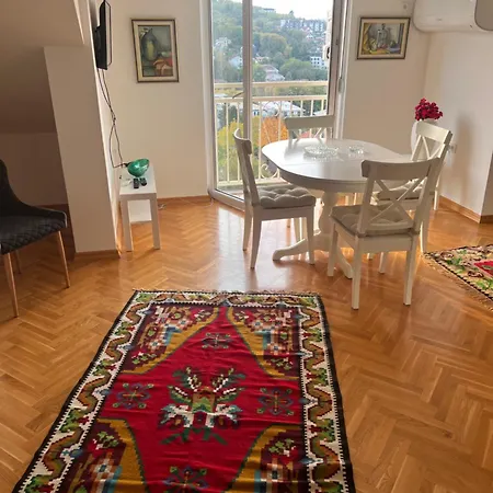 Apartment Vrnjacka Hill *
